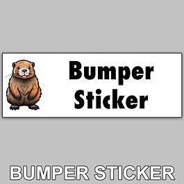 Custom Bumper Stickers | Bumper Sticker Printing
