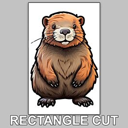 Custom Rectangle Stickers | Rectangle Cut Sticker Printing