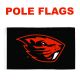 Pole Flag -3 ft. x 5 ft.