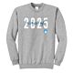 CHS Spartans Class of 2025 Script Gray Crewneck Hoodie