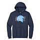 CHS Spartans Football Outline Navy Hoodie
