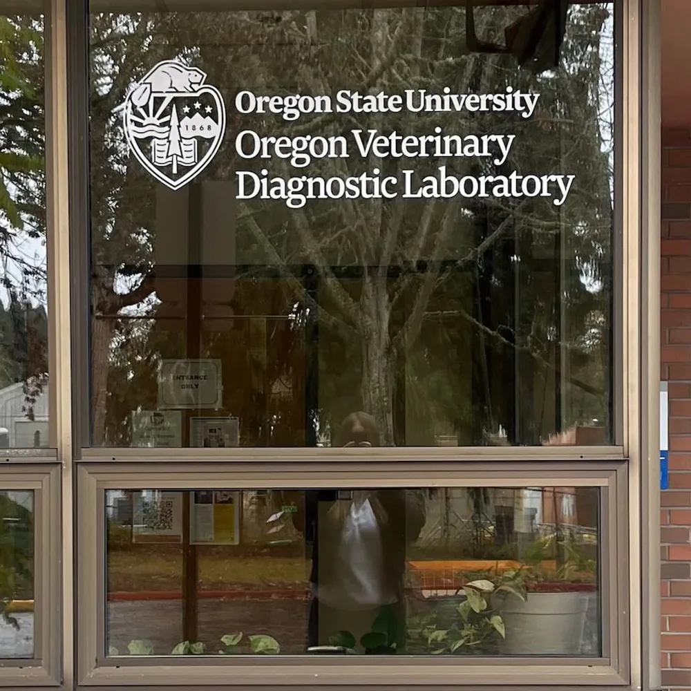White cut vinyl lettering and a crest logo applied directly to a building window identifying a university laboratory
