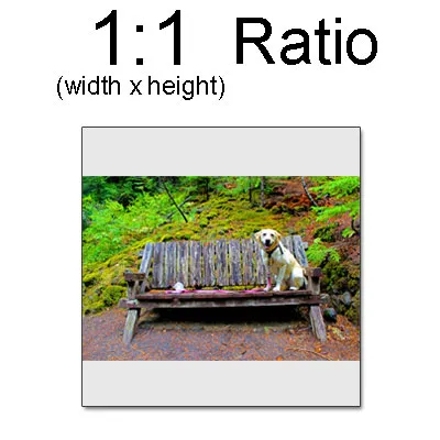 The same 3:2 image printed whole on a square, leaving white borders top and bottom
